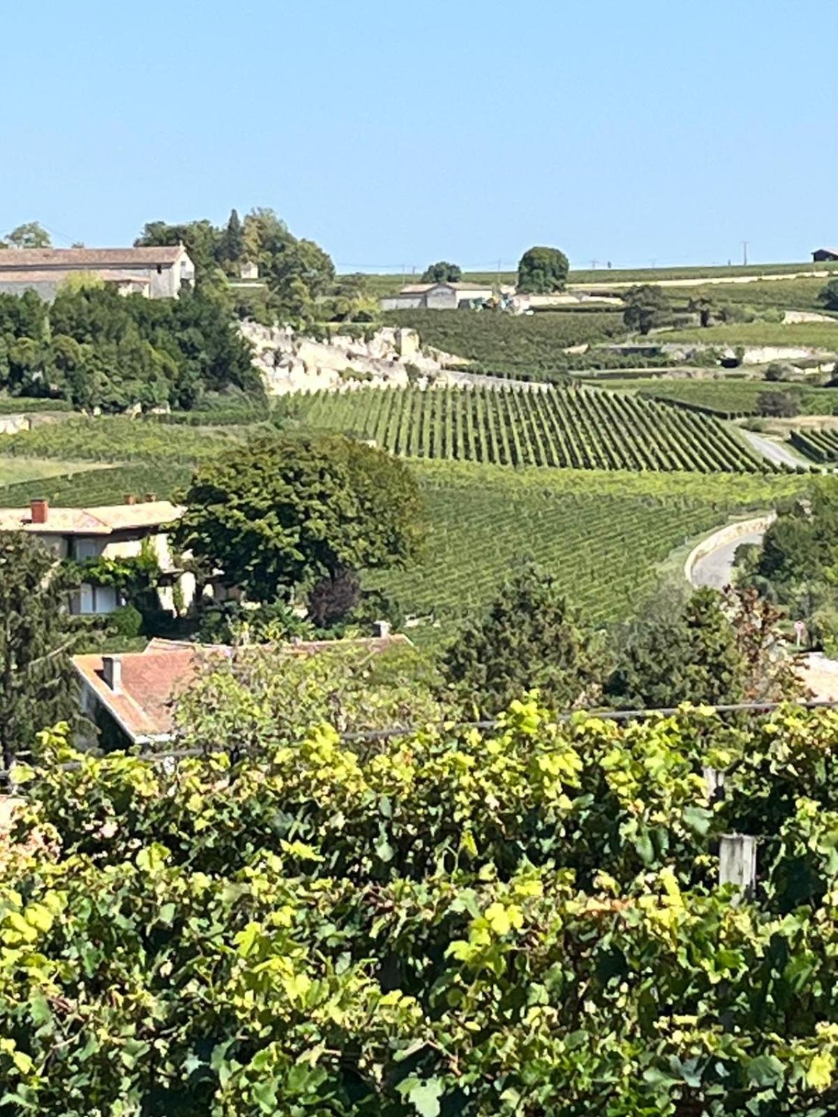 Les Logis Des Vignobles Saint Emilion En Duplex N 2 Avec Terrasse Apartment Exterior photo
